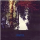 Dntel - Aimlessness